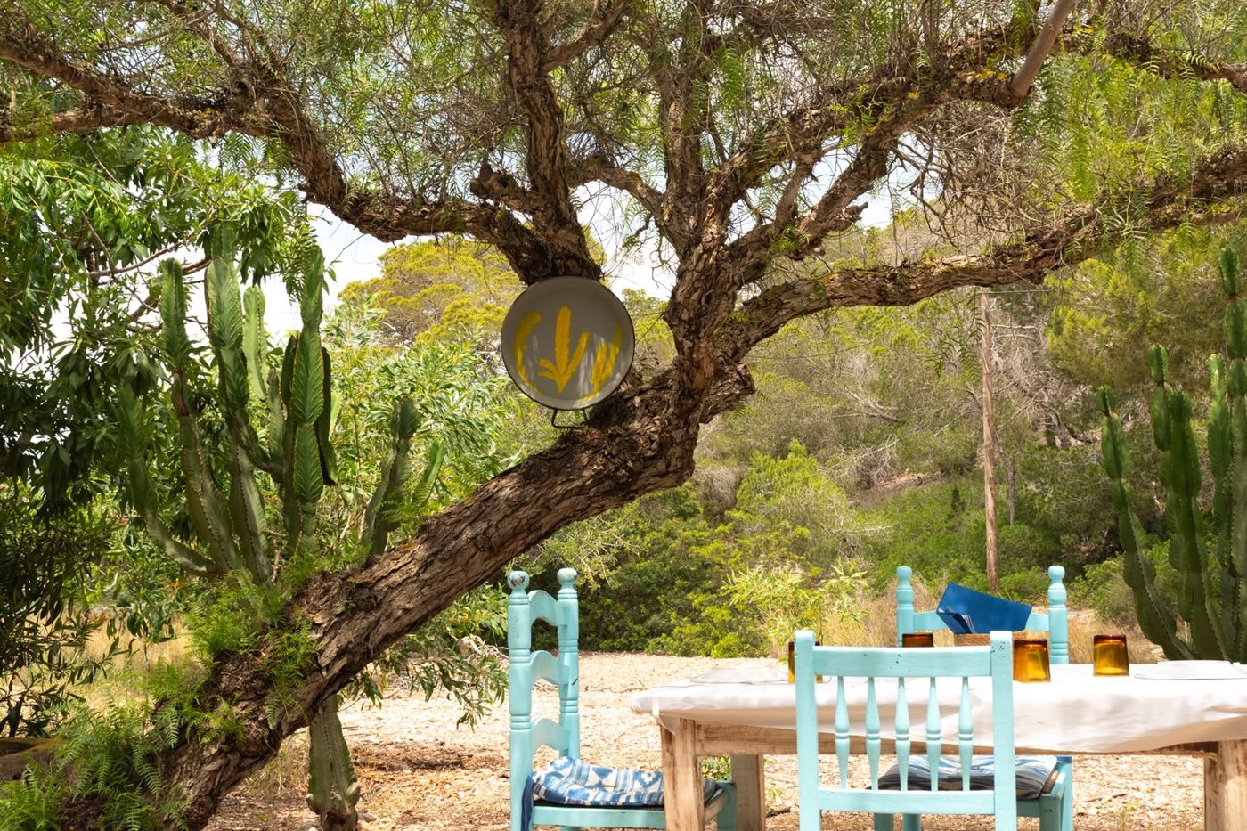 Can Salinas, photo